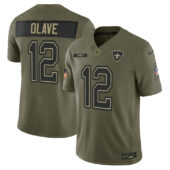 New Orleans Saints Nike Olive 2025 Salute to Service Limited Jersey - All Stitched - Limited Jersey | NFL Jersey