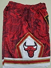 NBA Chicago Bulls Icon Edition Swingman Basketball Shorts - Limited Shorts | NBA Shorts NBA Chicago Bulls Icon Edition Swingman Basketball Shorts - Limited Shorts | NBA Shorts