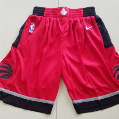 NBA Toronto Raptors Swingman Icon Performance Basketball Team Shorts - Limited Shorts | NBA Shorts