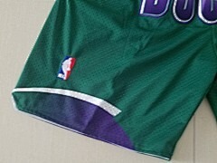 Milwaukee Bucks Icon Edition Nike NBA Swingman - Limited Shorts | NBA Shorts Milwaukee Bucks Icon Edition Nike NBA Swingman - Limited Shorts | NBA Shorts