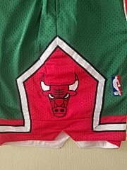 Just Don Shorts Charlotte Hornets 1994-95 Basketball Shorts - Limited Shorts | NBA Shorts