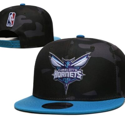 Charlotte Hornets Hat Mitchell & Ness NBA Team Logo Snapback Cap - Limited Hat | NBA HAT
